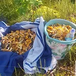 Wczasy Na Kaszubach U Hani Lejlighed *
