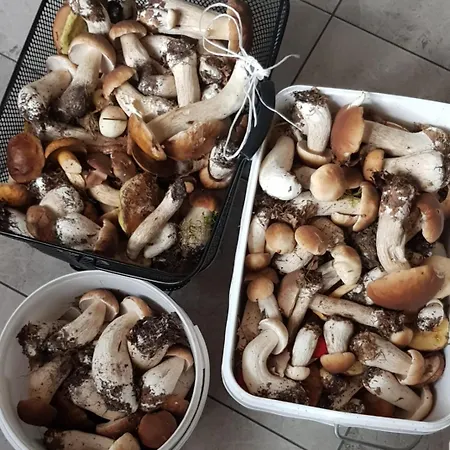 Wczasy Na Kaszubach U Hani