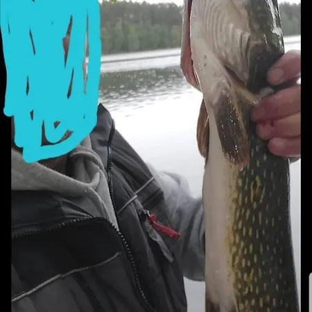 Wczasy Na Kaszubach U Hani * Wiele