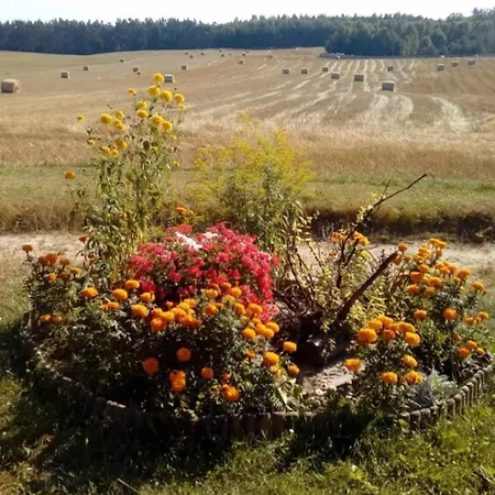 Wczasy Na Kaszubach U Hani 아파트 *