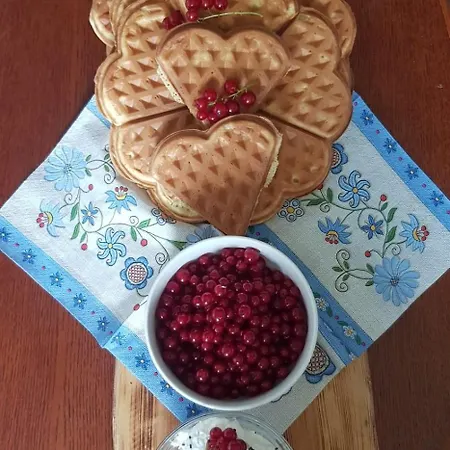 Lejlighed Wczasy Na Kaszubach U Hani