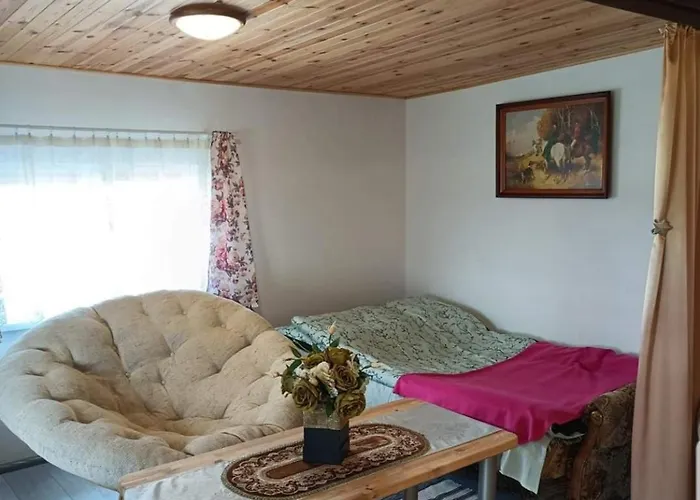 Wczasy Na Kaszubach U Hani Wiele