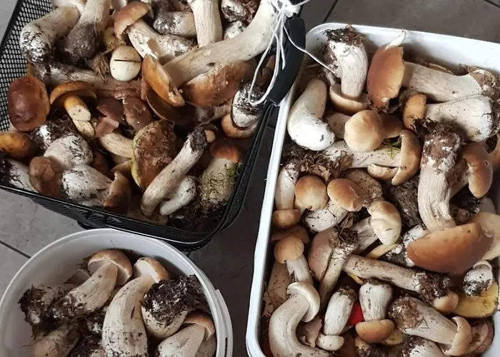 Wczasy Na Kaszubach U Hani