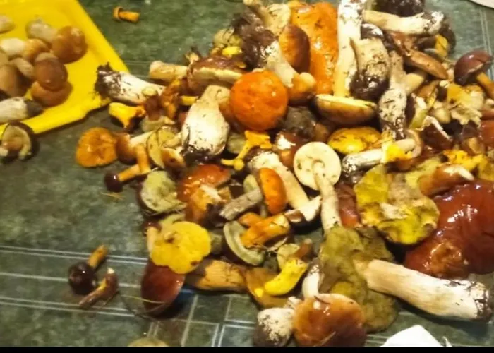 Wczasy Na Kaszubach U Hani Apartament