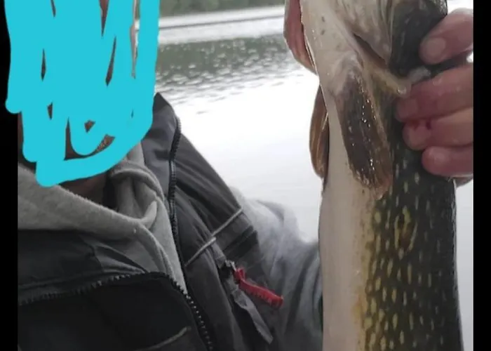 Wczasy Na Kaszubach U Hani * Wiele