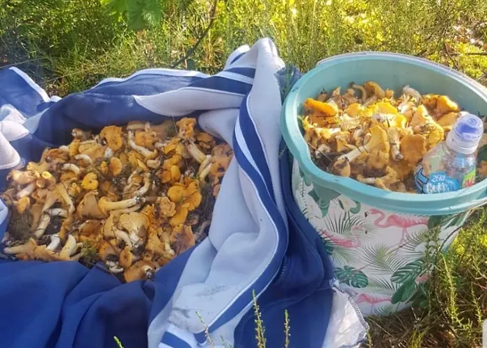 Wczasy Na Kaszubach U Hani Apartament *