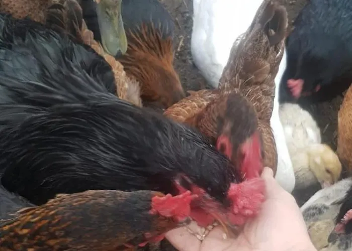 Wczasy Na Kaszubach U Hani Apartament