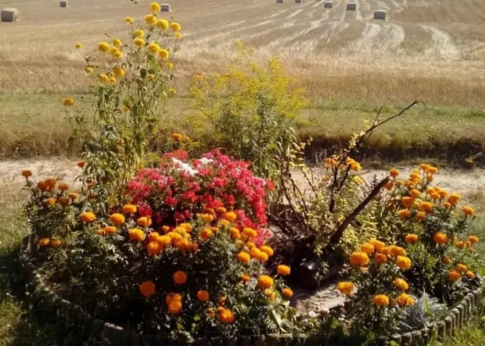 Wczasy Na Kaszubach U Hani Apartament *