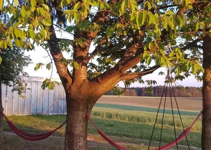 Apartament Wczasy Na Kaszubach U Hani Wiele